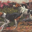American & English Foxhounds dog canvas art print by Agassiz Fuertes