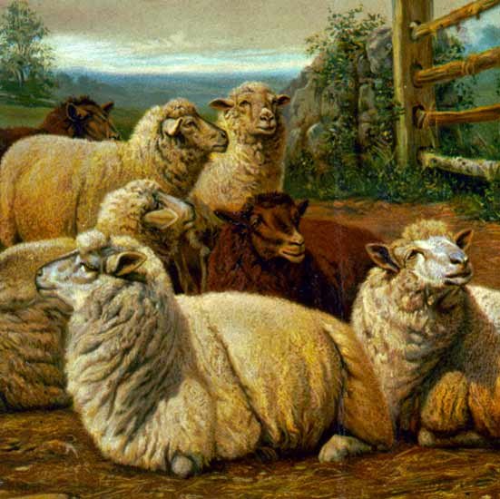 The Faithful Shepherds 1897 sheep dog domestic animal canvas art print ...