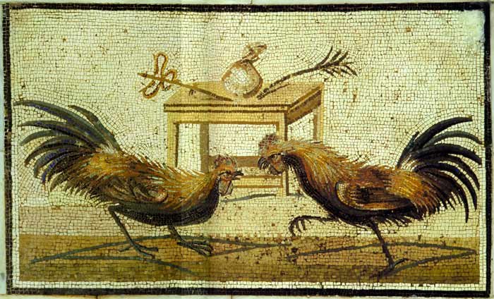 Meister der Nilmosai cockfight cockfighting cock rooster art print