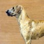 Great Dane dog canvas art print by Geoffrey Williams