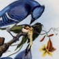 Blue Jay birds bird canvas art print by John James Audubon