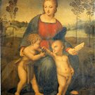 Madonna of Goldfinch religious Christian canvas art print by Raphael