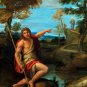 Saint John the Baptist Bearing Witness canvas art print by Carracci