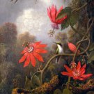Hummingbird and Passionflowers ca 1885 canvas art print by Martin Johnson Heade