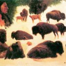 Study of Buffaloes wild animal canvas art print by Bierstadt