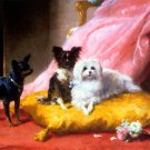 The Pampered Pets dog canvas art print by Euphemie Muraton