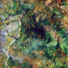 Landscape in Southern France trees forest country canvas art print by Pierre-Auguste Renoir
