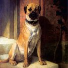 Mastiff on Steps 1863 dog animal canvas art print by William Luker Sr.