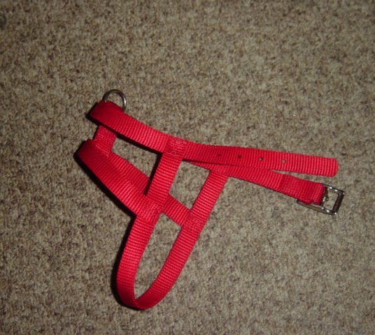 Small Red Dog Halter Collar for Tiny Dog  #301093