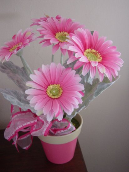 Pink African Gerbera Daisy Flower Arrangement In Pot 301117