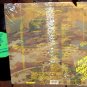 ZOOGZ RIFT OOP '85 LP NUDE INTERIM RESURGENCE PUNK