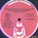 ANDREA TRUE CONNECTION OG'77 DISCO 12" WHAT'S YOUR NAME