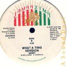 BASSY RARE INDIE '85 JAMAA ZIMA DUB 12" WHAT A TING