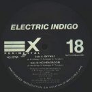ELECTRIC INDIGO EXperimental SKYWAY 12" TECHNO ACID