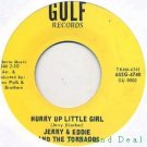 JERRY &ED Texas Northern/Deep Soul JAMES POLK 7"45 HEAR