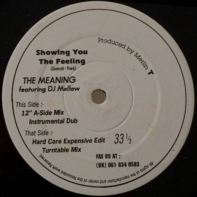 MEANING ft DJ MELLOW Showing You the Feeling 12"HEAR Merlin T UK trip-hoP scarce