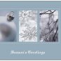 Seasons Greetings