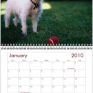 2010 dog calendar