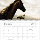 2010 Horse calendar