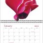 2010 Flowers 2 calendar