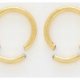 Segment Rings