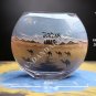Sand Art Bottles -Large  6