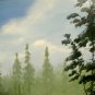 Pine Forest Creek Landscape Painting Vintage Southern Oil Board Signed W Horton