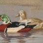 Mallard Ducks Embroidered Landscape Print Vintage Textile Fabric Art