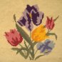 Vintage Wool Needlepoint Flowers Picture Tulips Irises Finished & Framed