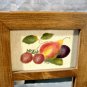 Vintage Velvet Theorem Painting Mirror Folk Art Fruit Signed Jane