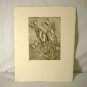 Vintage Butterfly Etching Print