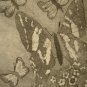 Vintage Butterfly Etching Print