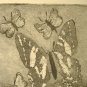 Vintage Butterfly Etching Print