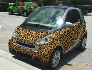 Custom
