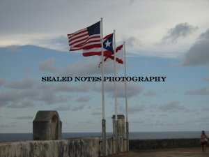Flags in the Horizon