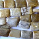Fossilized Coral Agate Rectangular Tabular Beads 20mm (GS1188)