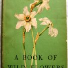 Book of Wildflowers by Elsa Felsco