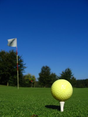 2010 Golf Outing