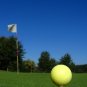2010 Golf Outing
