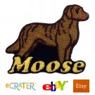 Custom Personalized Iron-on Patch - Chesapeake Bay Retriever Custom Personalized Iron-on Patch - Chesapeake Bay Retriever