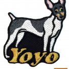 Custom Personalized Iron-on Patch - Toy Fox Terrier