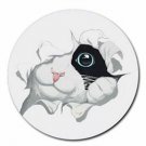 Peeking Cat Kitty Round Neoprene Rubber Coasters Set of 4 NEW