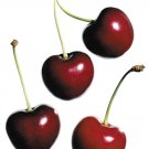 Cherilicious Cherry Bar