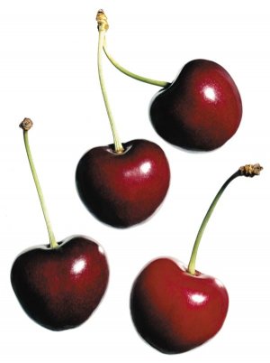 Cherilicious Cherry Bar