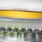 3/8" GROSGRAIN RIBBON - LIGHT GOLD -  5 yards