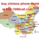 028 phone number (one month subscription)