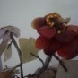 Jade Tree with Flowers