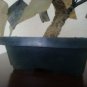 Jade Tree with Flowers