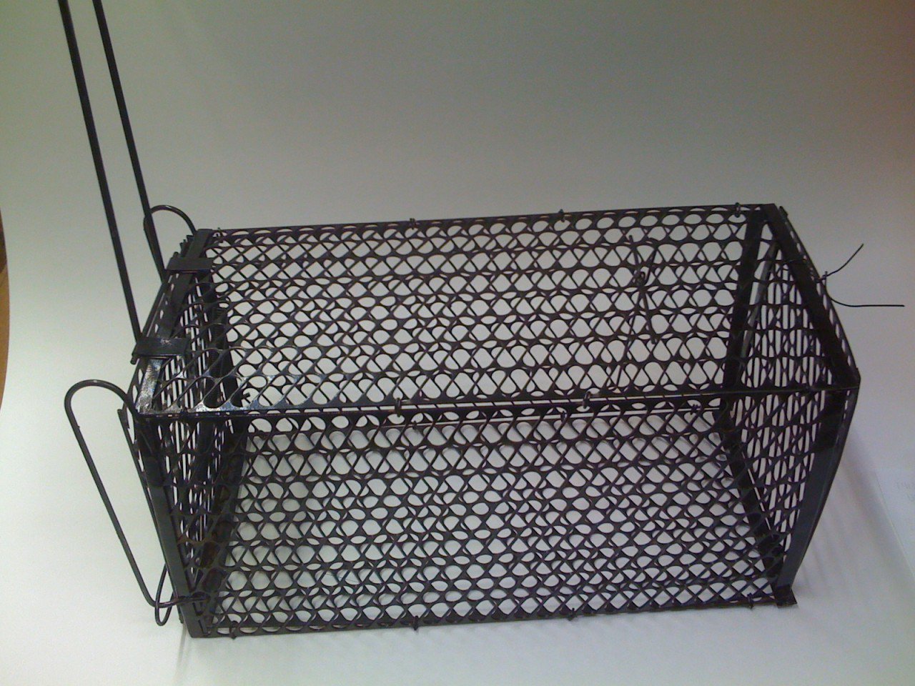 Humane Rat Trap Metal Cage Single Door For Live Rodents Heavy Duty