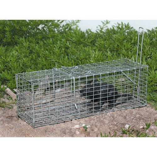 Humane Rat Trap - Metal Cage Single Door For Live Rodents - Heavy Duty